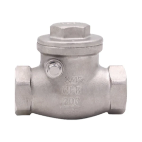 Válvula de retención tipo swing check, cuerpo y clapeta acero inoxidable 316 - Conexión NPT